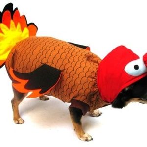 Turkey Puppe Love Halloween Dog Pet Costume